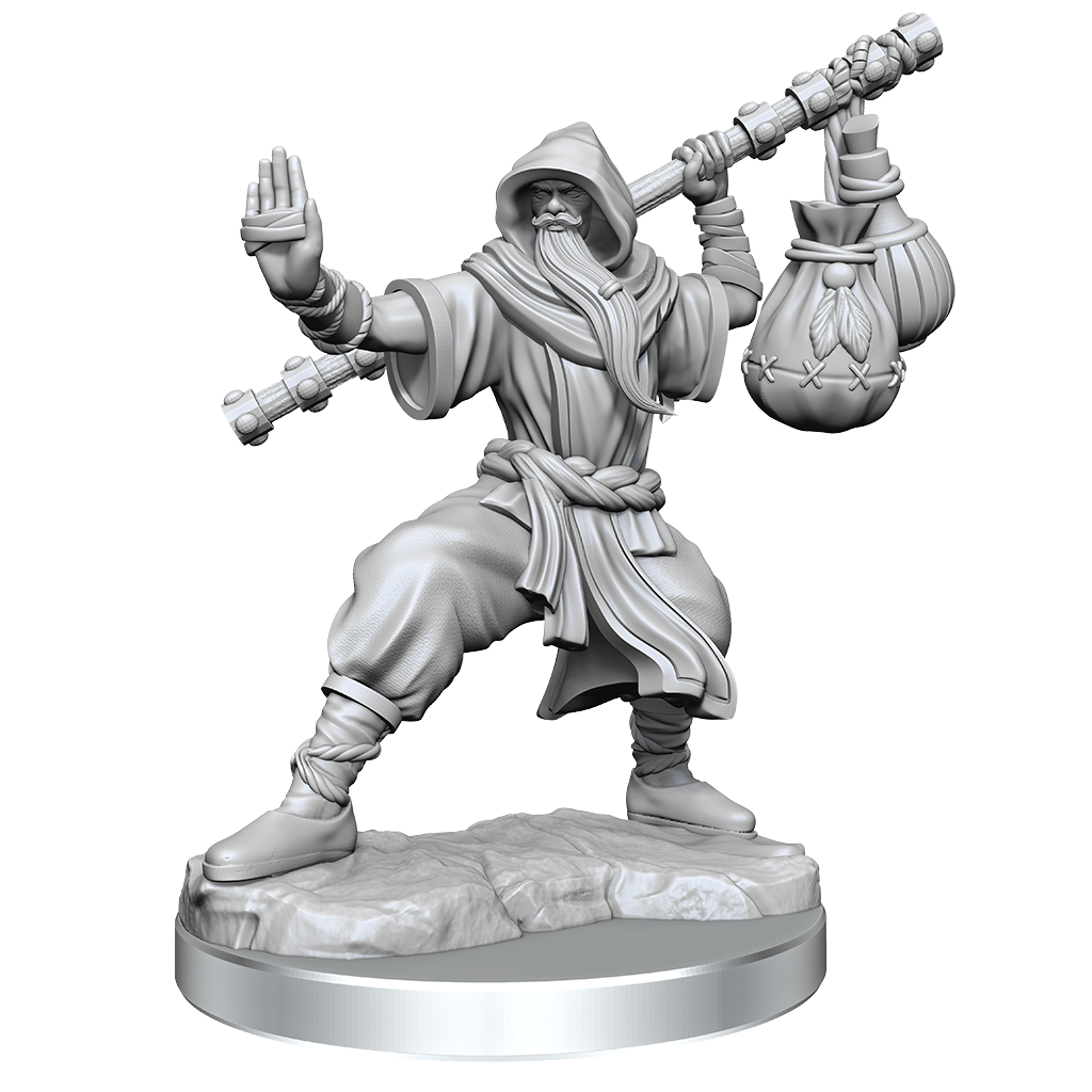 D&D Frameworks Human Monk Male-1