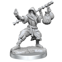 D&D Frameworks Human Monk Male-1
