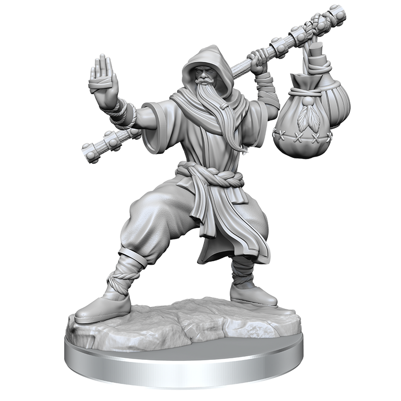 D&D Frameworks Human Monk Male-1