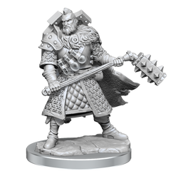 D&D Frameworks Human Male Fighter-2
