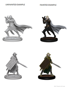 Pathfinder Deep Cuts Unpainted Miniatures Elf Male Paladin-1