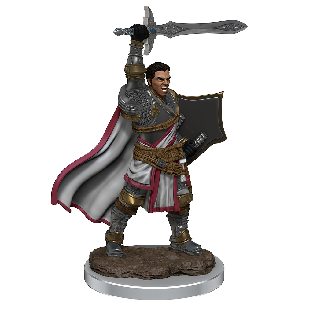 D&D Premium Painted Figures Human Paladin Male-1