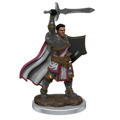 D&D Premium Painted Figures Human Paladin Male-1