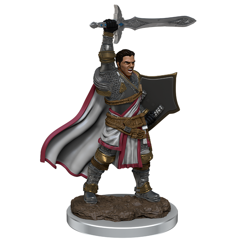 D&D Premium Painted Figures Human Paladin Male-1