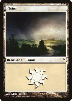 Plains (38) [Duel Decks: Sorin vs. Tibalt]-1