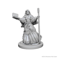 D&D Nolzurs Marvelous Unpainted Miniatures Human Female Wizard-1
