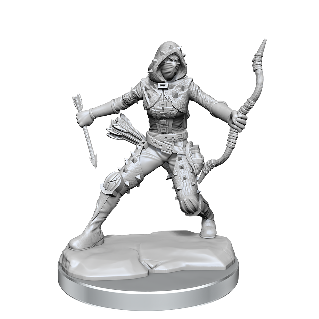 D&D Frameworks Human Rogue Female-2