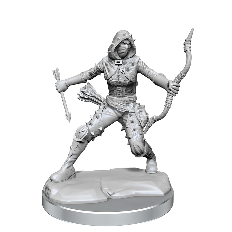 D&D Frameworks Human Rogue Female-2