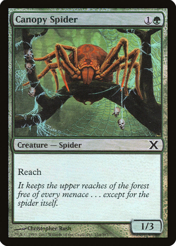 Canopy Spider (Premium Foil) [Tenth Edition]-1