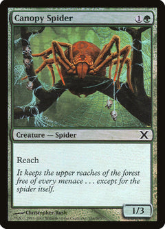 Canopy Spider (Premium Foil) [Tenth Edition]-1