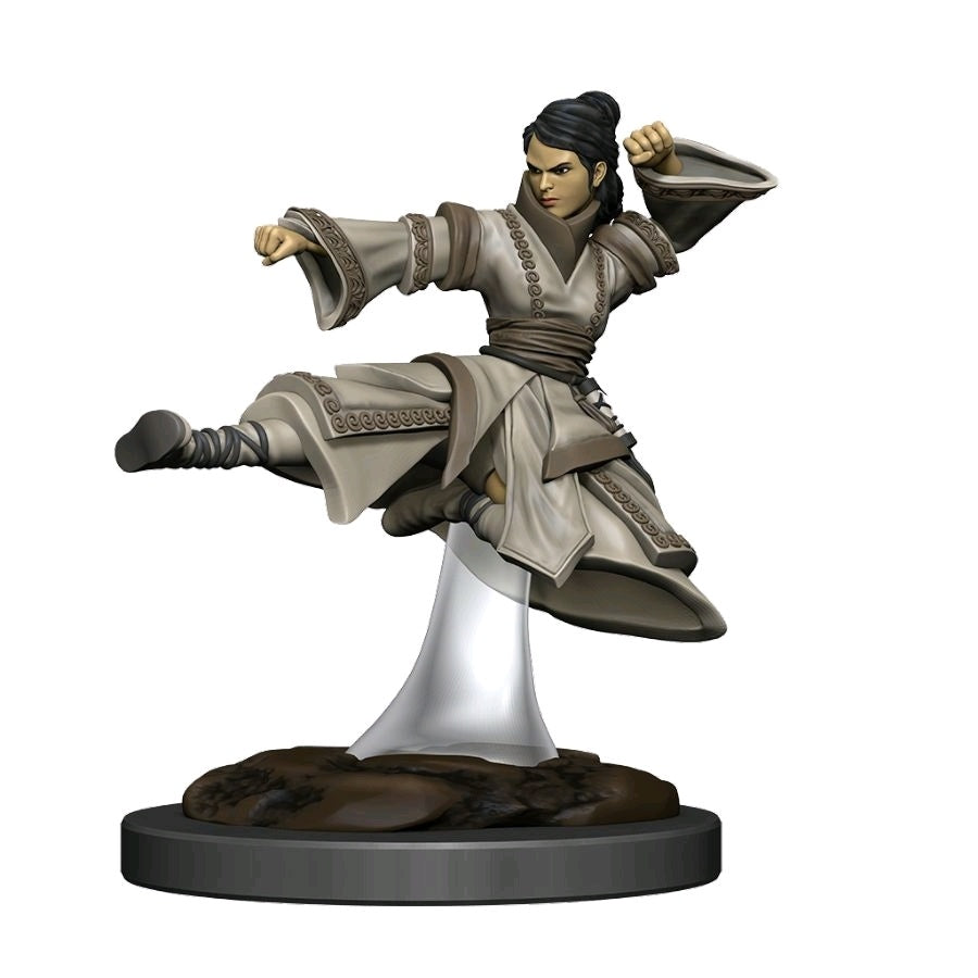 D&D Premium Painted Figures Human Monk Female-1