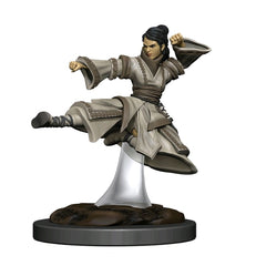 D&D Premium Painted Figures Human Monk Female-1