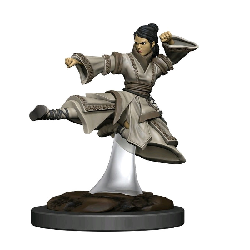 D&D Premium Painted Figures Human Monk Female-1