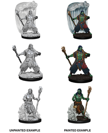 D&D Nolzurs Marvelous Unpainted Miniatures Water Genasi Male Druid