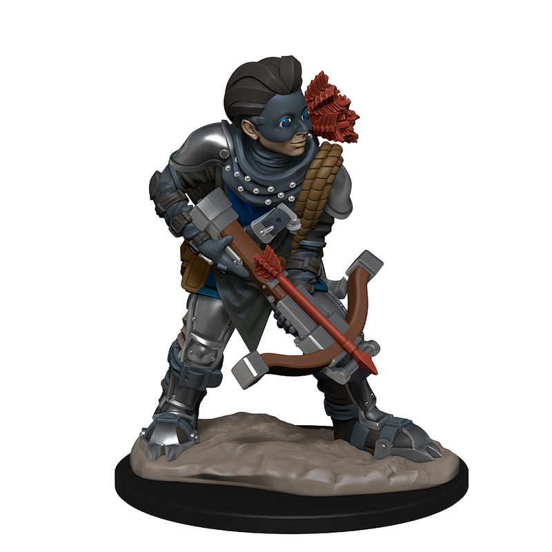 WizKids Wardlings RPG Figures Boy Rogue & Monkey-1