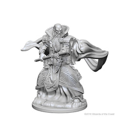D&D Nolzurs Marvelous Unpainted Miniatures Human Male Wizard-1