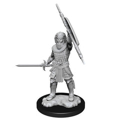 D&D Nolzurs Marvelous Unpainted Miniatures Human Male Fighter-1