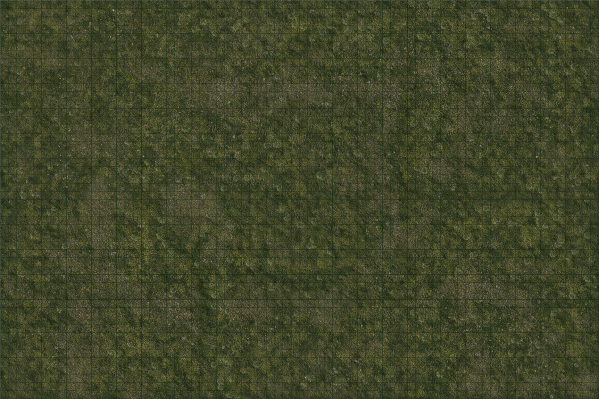 D&D Icons of the Realms Grasslands Battle Mat-1
