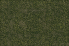 D&D Icons of the Realms Grasslands Battle Mat-1