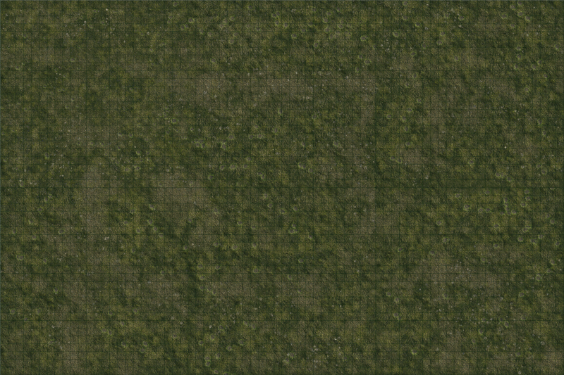 D&D Icons of the Realms Grasslands Battle Mat-1