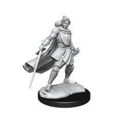 Critical Role Unpainted Miniatures Half-Elf Paladin Xhorhas Female (2)-1