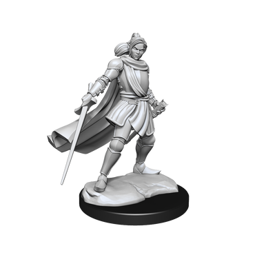 Critical Role Unpainted Miniatures Half-Elf Paladin Xhorhas Female (2)