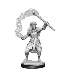 D&D Nolzurs Marvelous Unpainted Miniatures Firbolg Female Druid-1