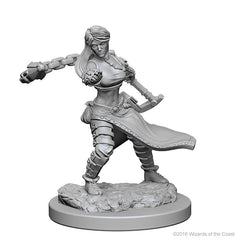 D&D Nolzurs Marvelous Unpainted Miniatures Human Female Monk-1