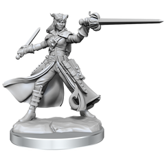 D&D Frameworks Tiefling Rogue Female-1