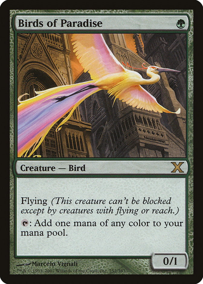 Birds of Paradise [Tenth Edition]-1
