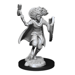 D&D Nolzurs Marvelous Unpainted Miniatures Changeling Cleric-1