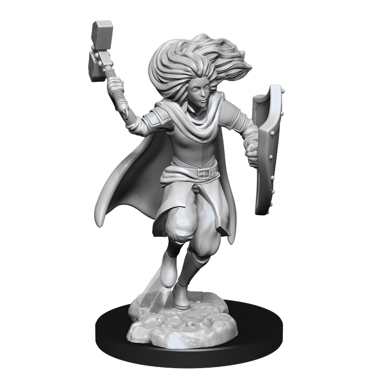 D&D Nolzurs Marvelous Unpainted Miniatures Changeling Cleric-1