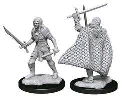 Pathfinder Deep Cuts Unpainted Miniatures Elf Fighter Male-1