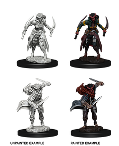 D&D Nolzurs Marvelous Unpainted Miniatures Tiefling Female Rogue-1