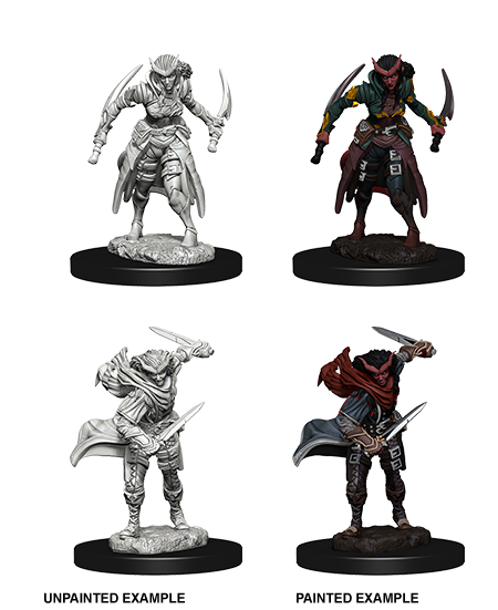 D&D Nolzurs Marvelous Unpainted Miniatures Tiefling Female Rogue-1