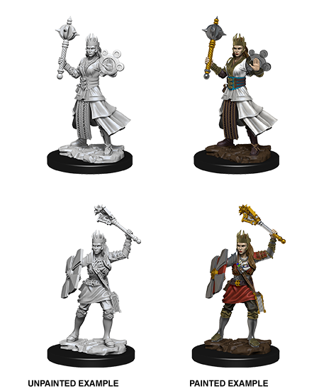 D&D Nolzurs Marvelous Unpainted Miniatures Female Human Cleric-1