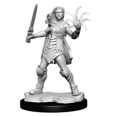 Magic the Gathering Unpainted Miniatures Rowan Kenrith & Will Kenrith-1