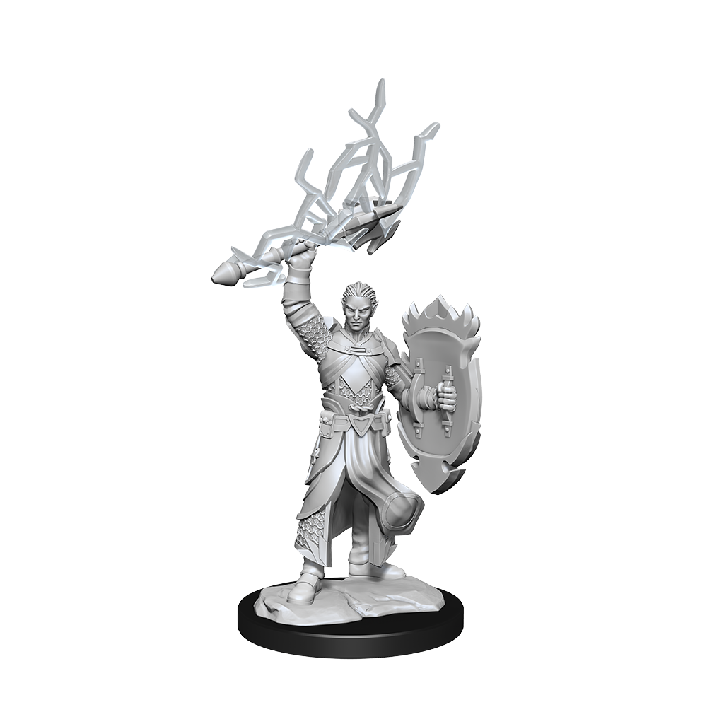 D&D Nolzurs Marvelous Unpainted Miniatures Half-Elf Paladin Male-1