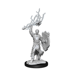D&D Nolzurs Marvelous Unpainted Miniatures Half-Elf Paladin Male-1
