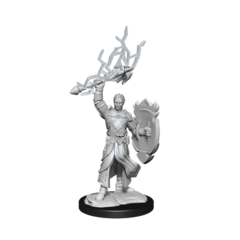 D&D Nolzurs Marvelous Unpainted Miniatures Half-Elf Paladin Male-1