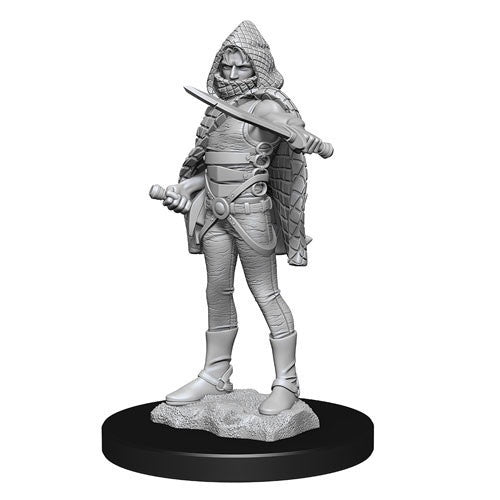 D&D Nolzurs Marvelous Unpainted Miniatures Darkling Elder & Darklings-1