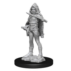 D&D Nolzurs Marvelous Unpainted Miniatures Darkling Elder & Darklings-1