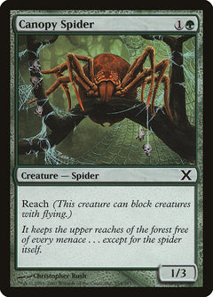 Canopy Spider [Tenth Edition]-1