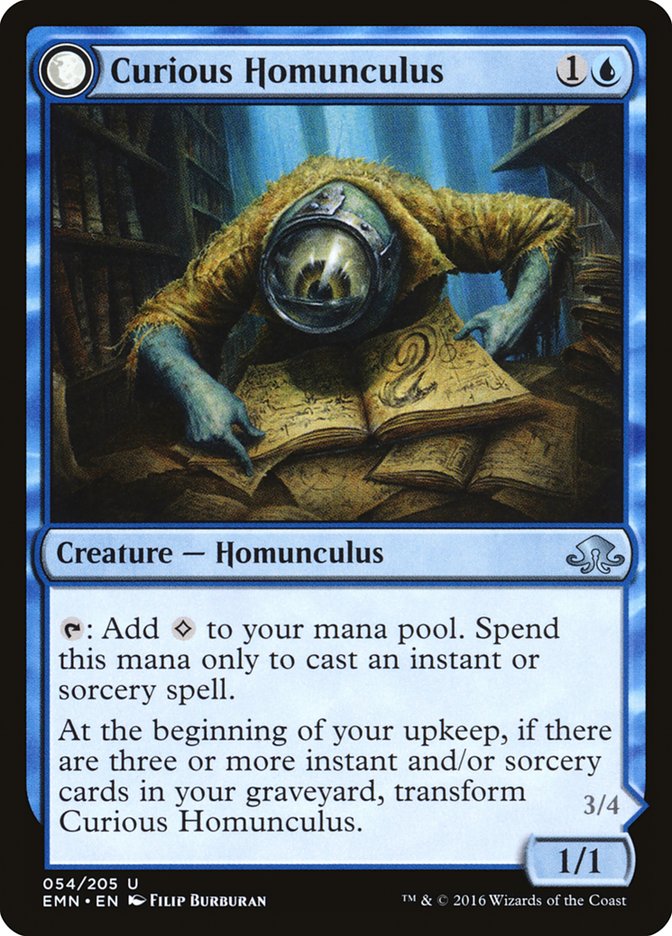 Curious Homunculus // Voracious Reader [Eldritch Moon]-1