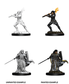 D&D Nolzurs Marvelous Unpainted Miniatures Female Human Paladin-1
