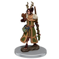 D&D Premium Painted Figures Human Druid Female-1
