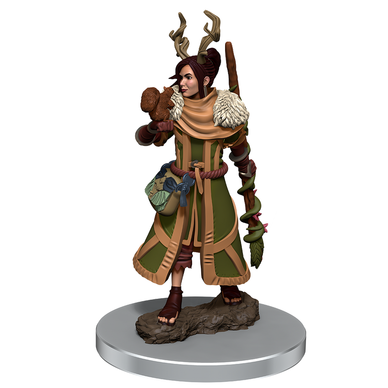 D&D Premium Painted Figures Human Druid Female-1