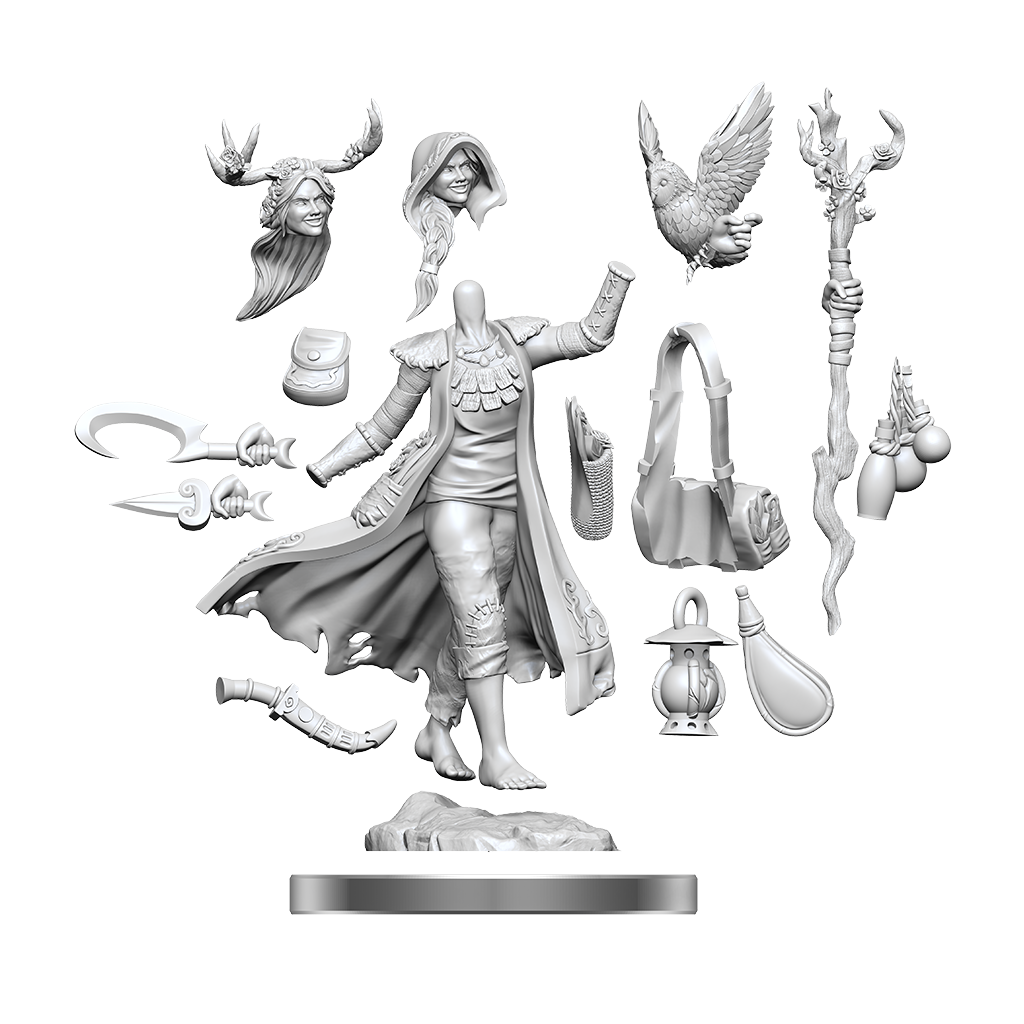D&D Frameworks Human Druid Female-1
