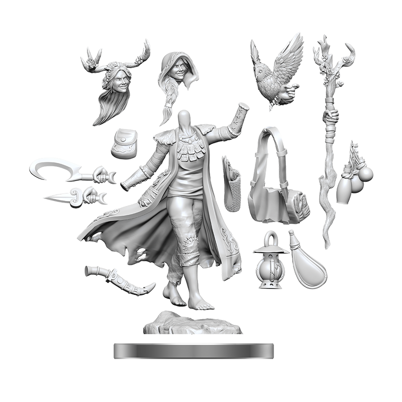 D&D Frameworks Human Druid Female-1