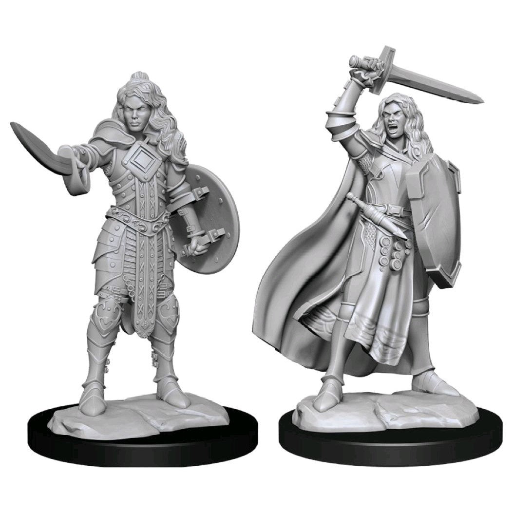 Pathfinder Deepcuts Unpainted Miniatures Human Champion Female-1